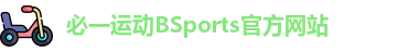 必一体育(B-Sports)官方网站